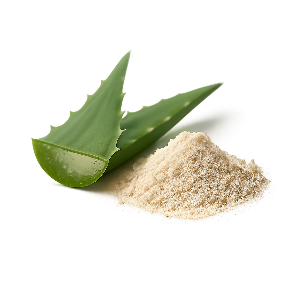 Aloe Barbadensis (Aloe Vera) Leaf Juice Powder