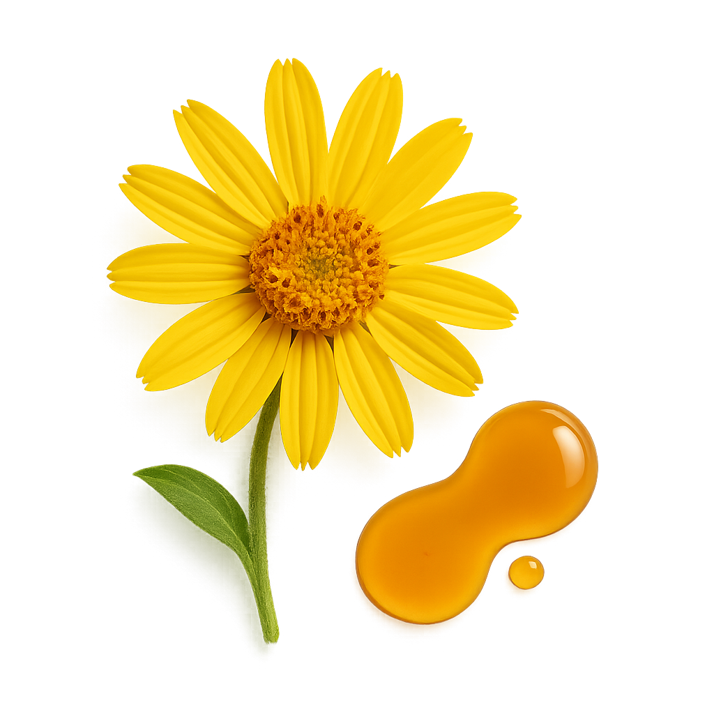 Arnica Montana Flower Extract