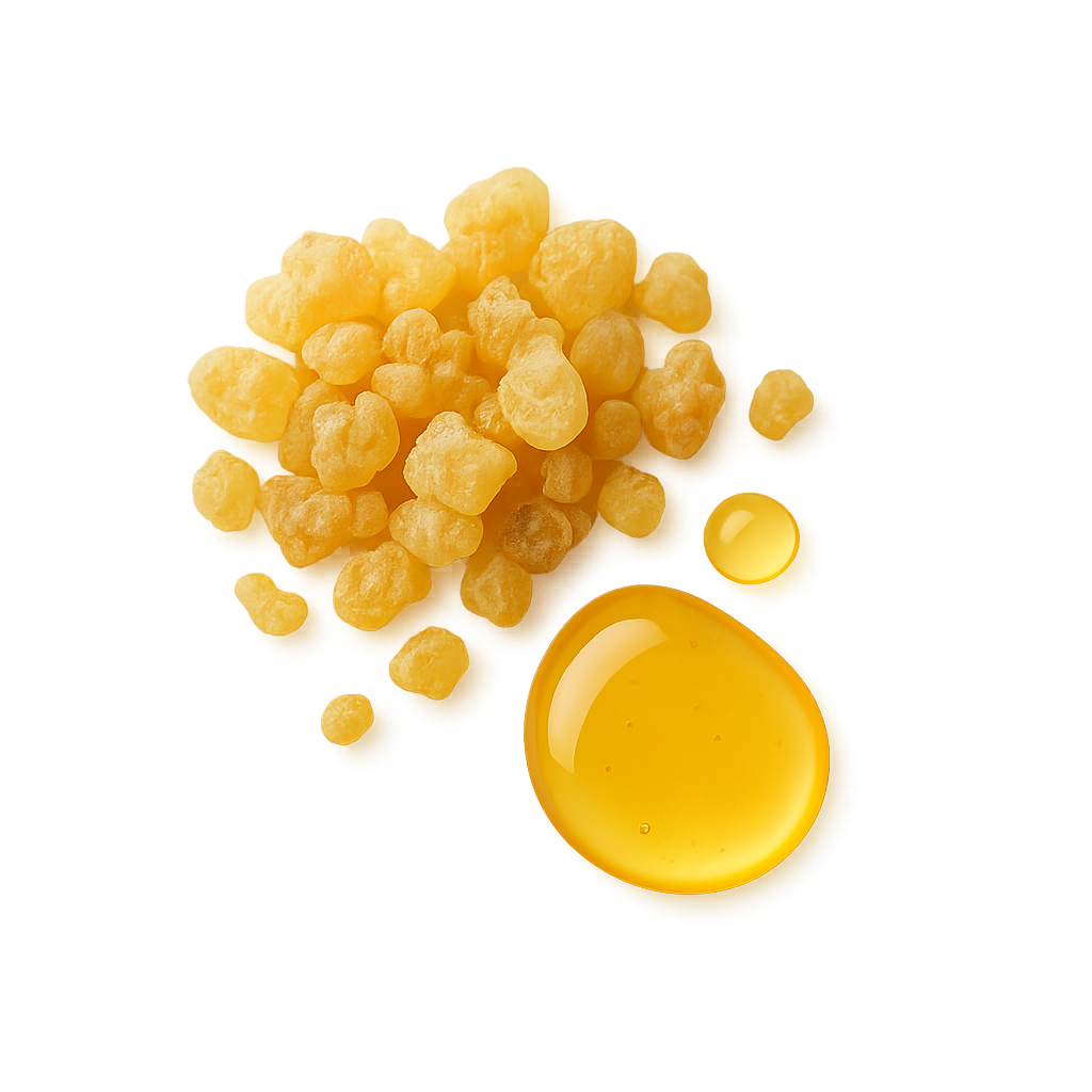 Boswellia Serrata (Frankincense) Oil