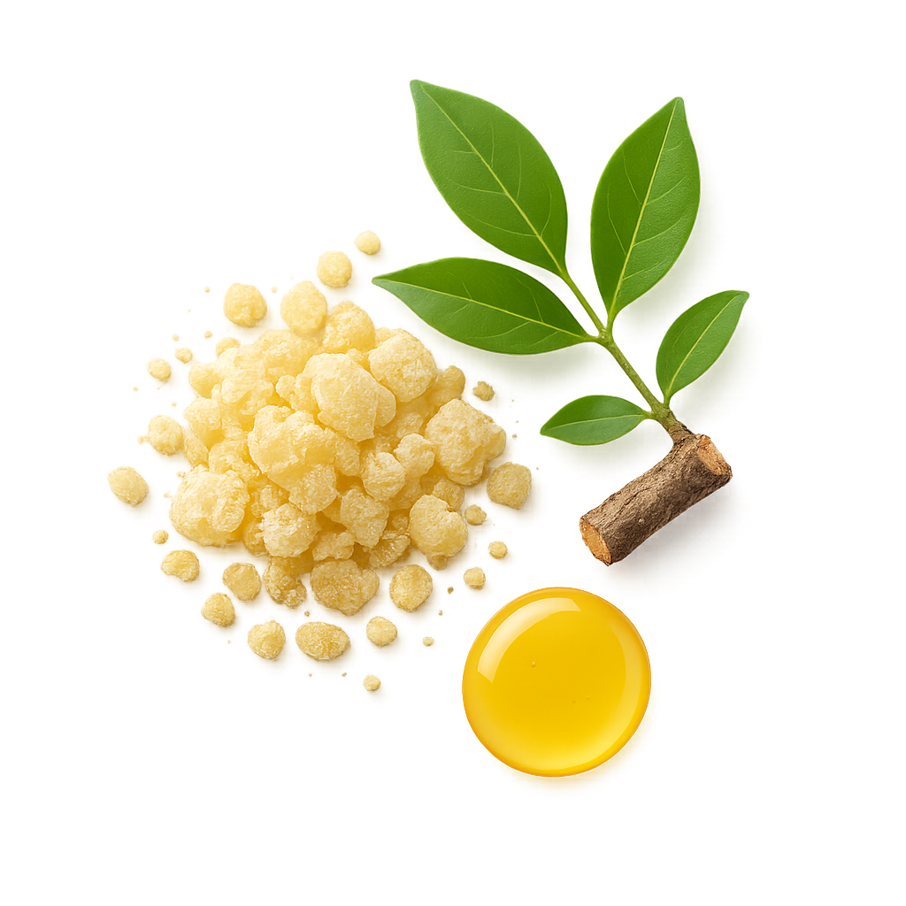 Canarium Luzonicum (Elemi) Gum Oil
