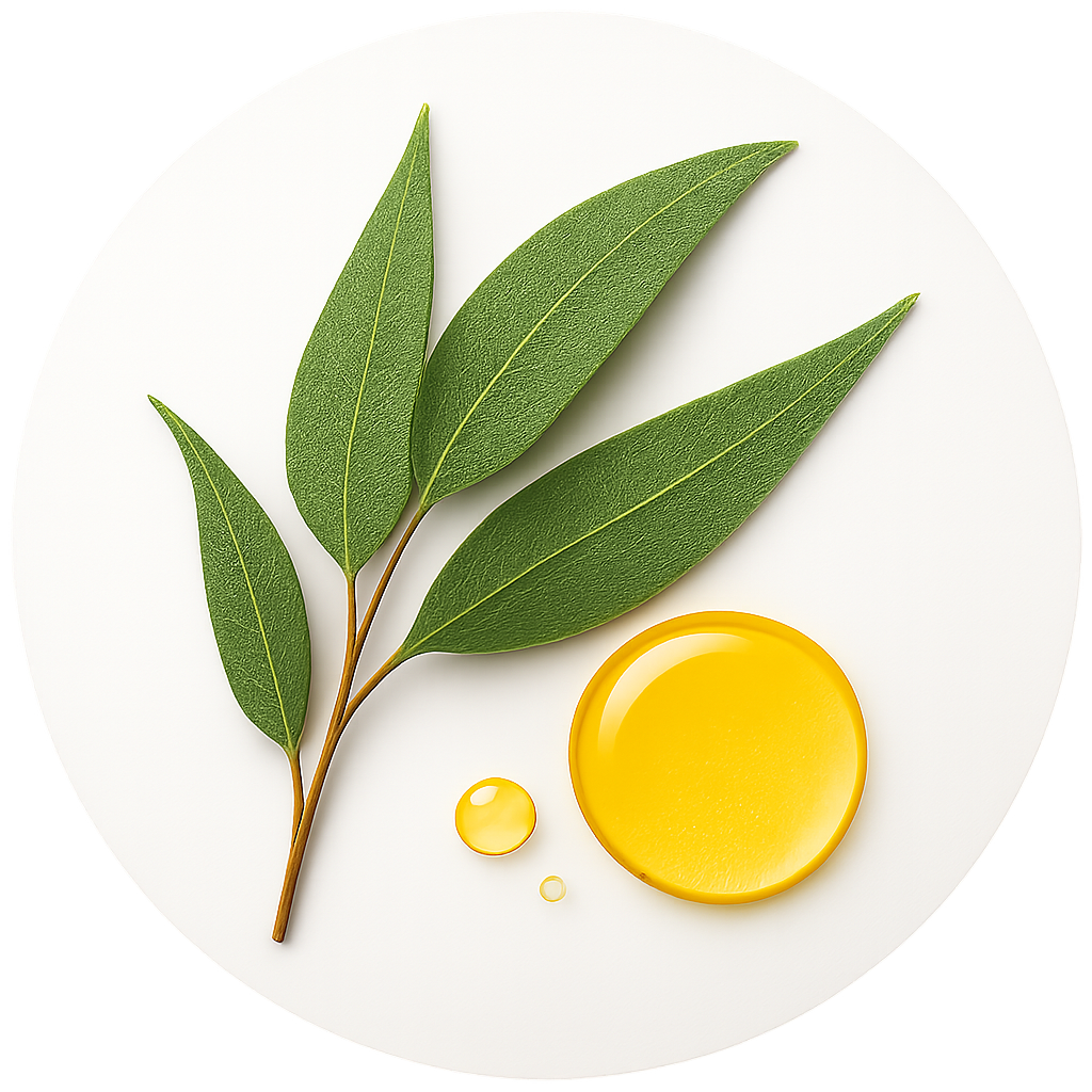 Eucalyptus Globulus Leaf Oil