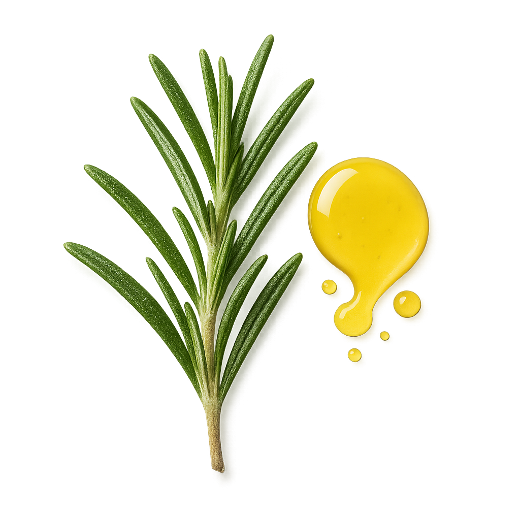 Rosemary oil